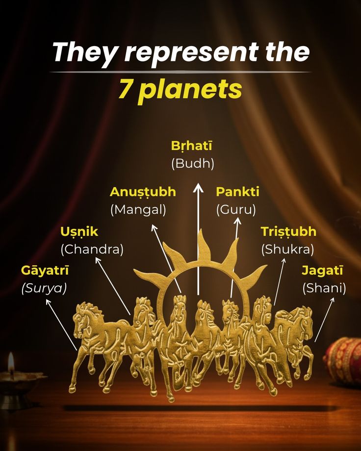 7 Horses on Raw Pyrite Frame